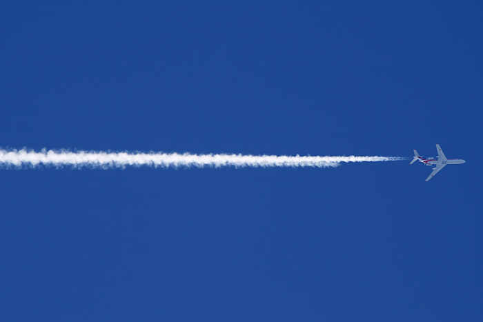 4445820134_85acae4454_o.jpg