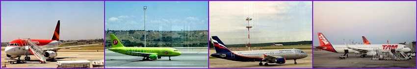 avia-colagens2.jpg