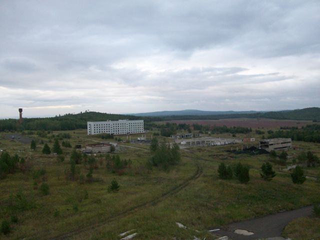 445407.jpg