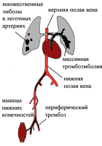 www.nkj.ru