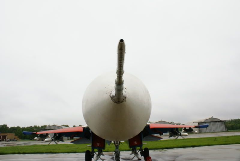 DSC09629.jpg