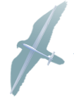 atsk-sapsan.ru