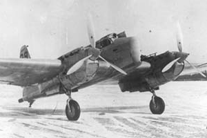 ant-29.jpg