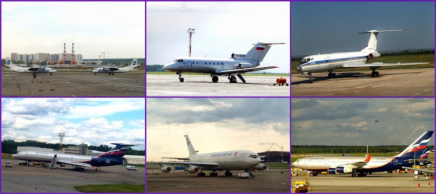 avia-colagens.jpg