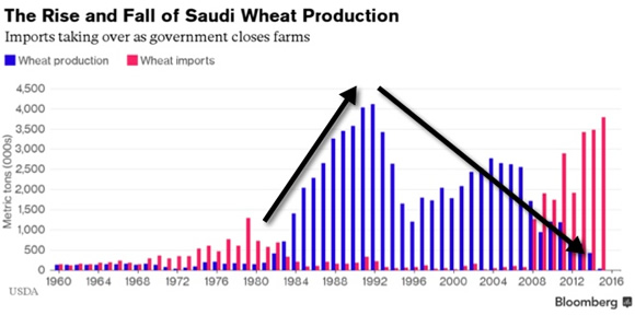 Saudi-Wheat-Production-2015-11-30.jpg